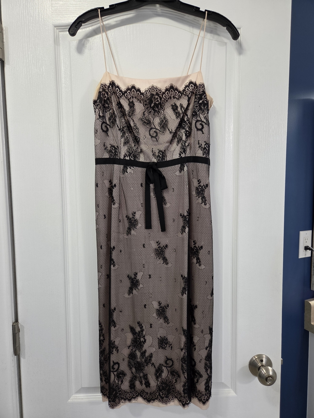 Banana Republic Blush Slip Dress with Black Lace Overlay